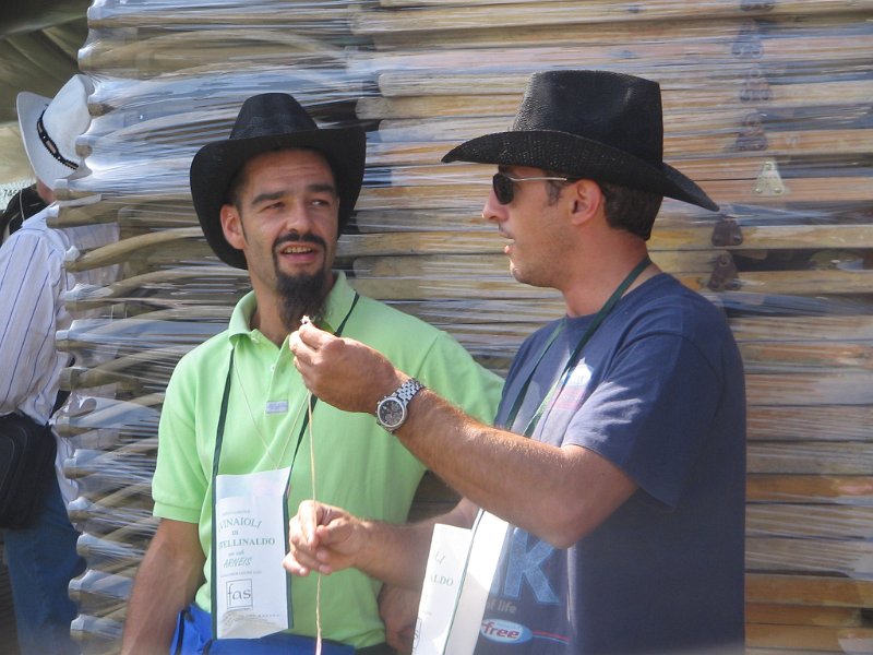 castellinaldo 2009 071